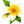 Нови