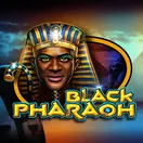 Black Pharaoh